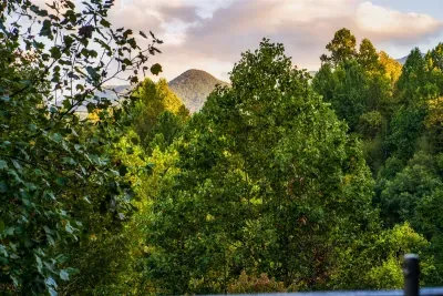 Great Mountain Views