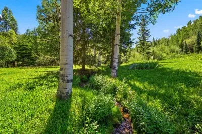 The Lupine Estate - image 13 of 44