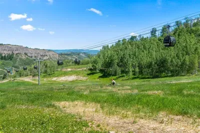 The Lupine Estate - image 17 of 44